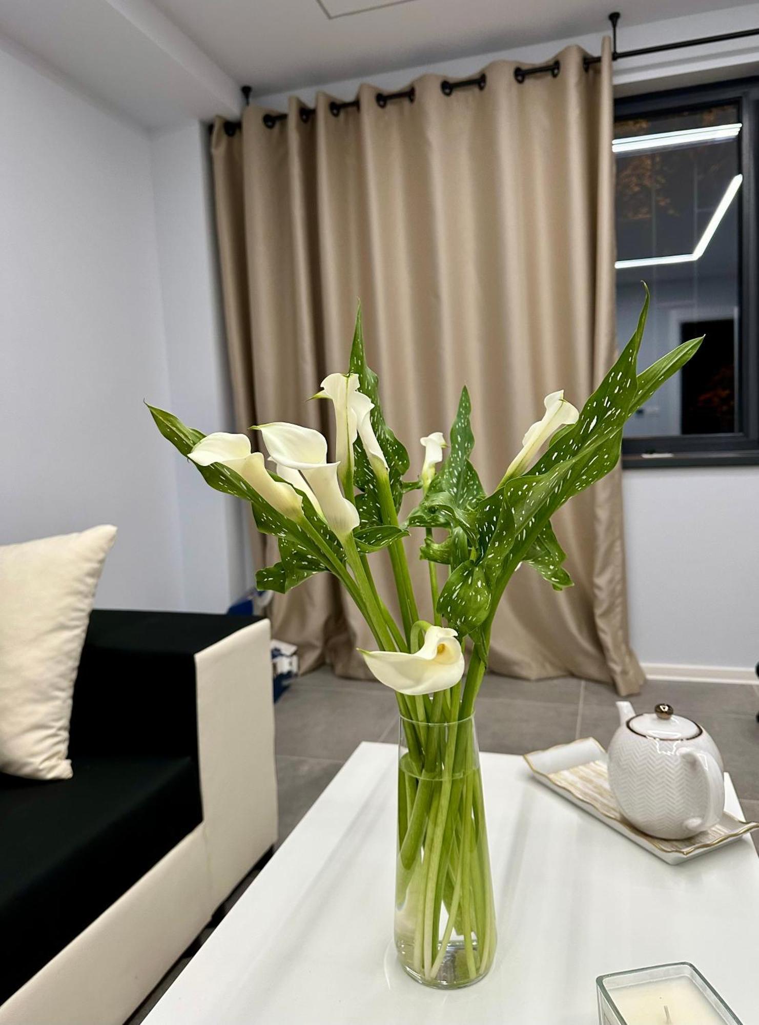 Ppu Home 티미쇼아라 외부 사진